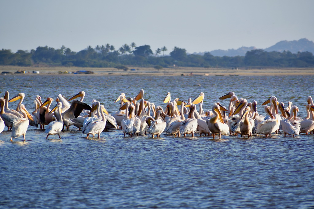 Lake Eyasi